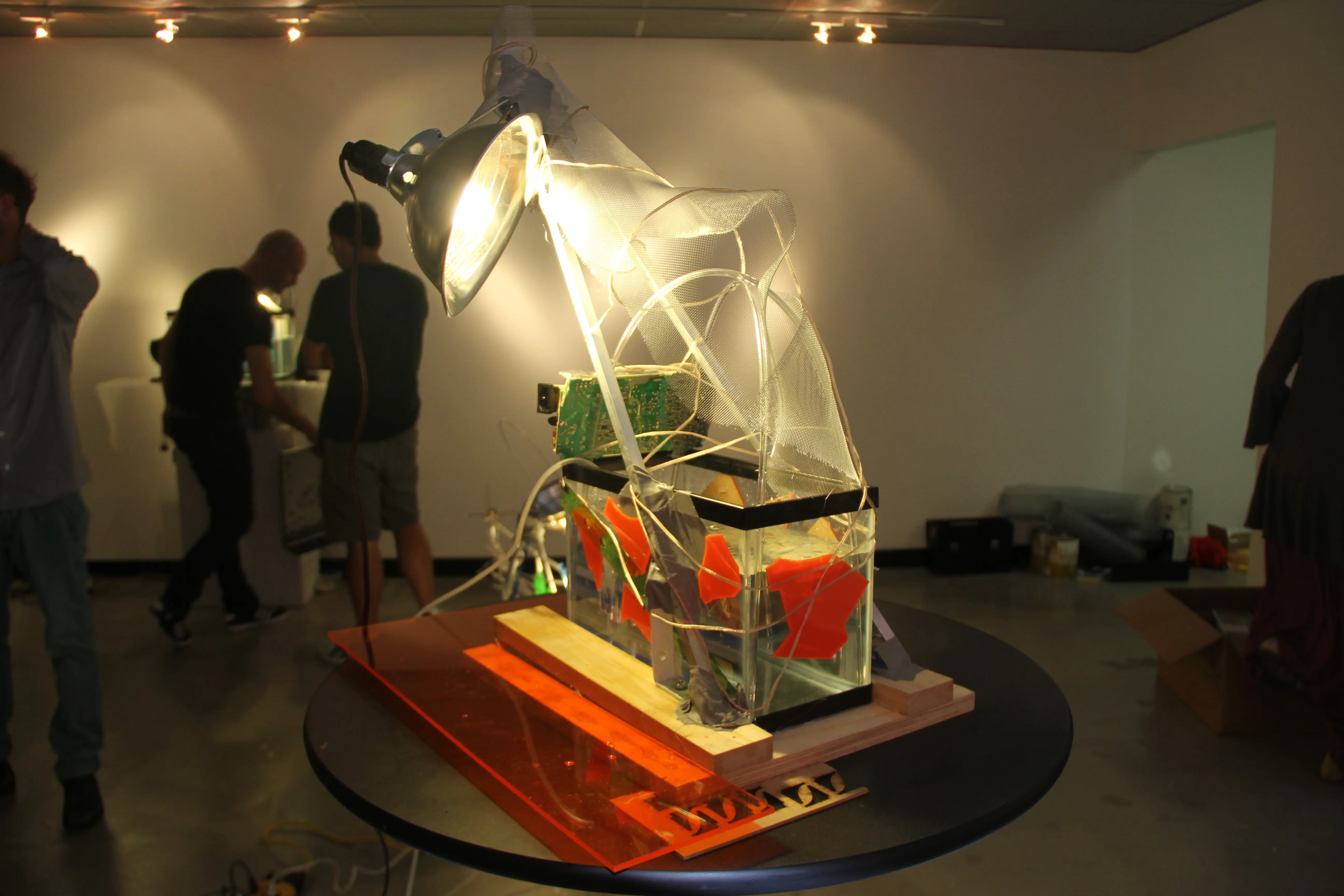 Build Your Own Bioreactor
